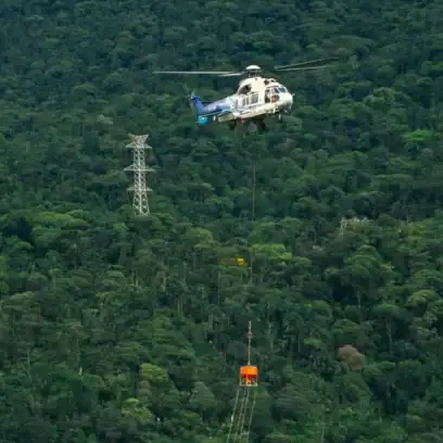 Helicopter over trees