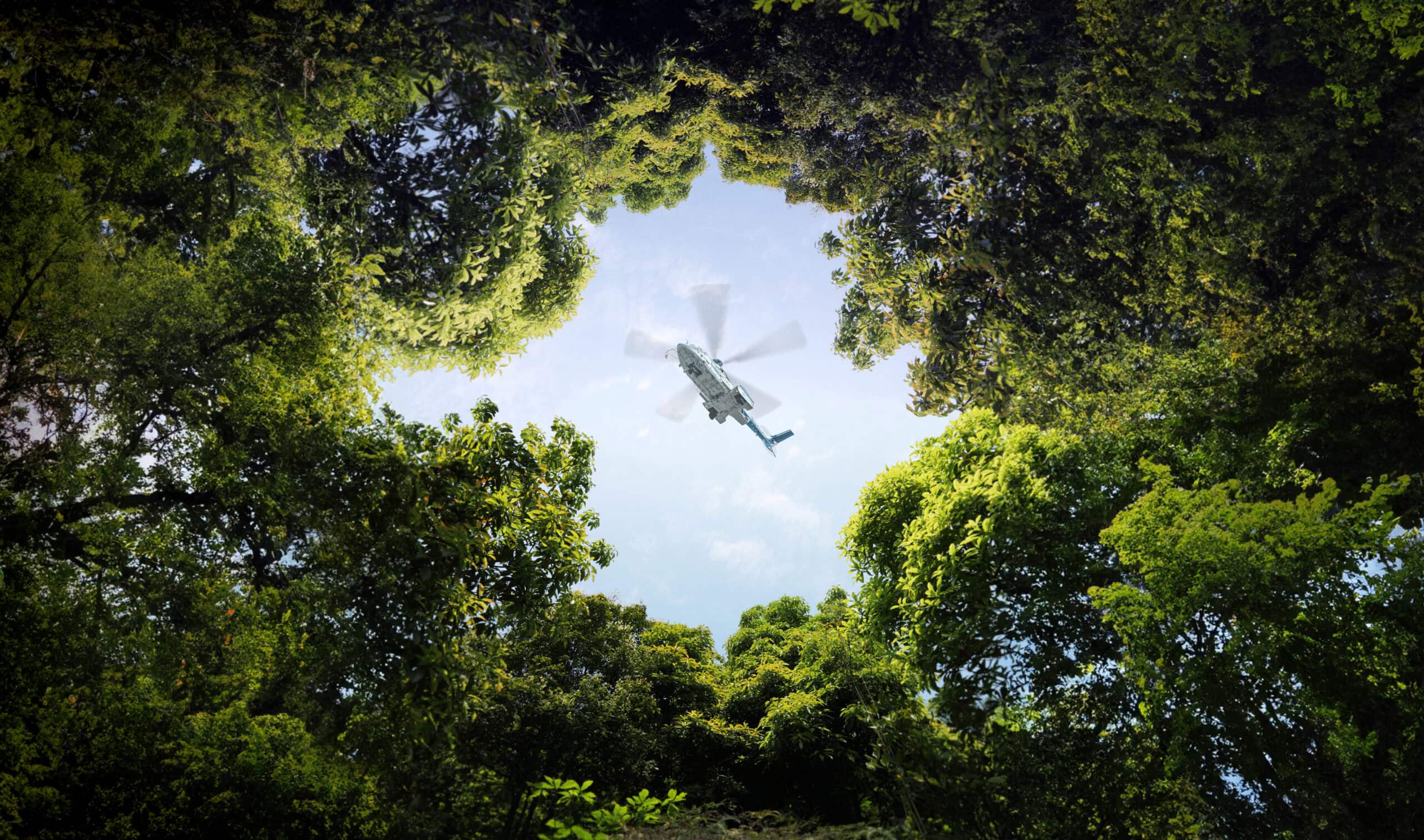 helicopter on trees